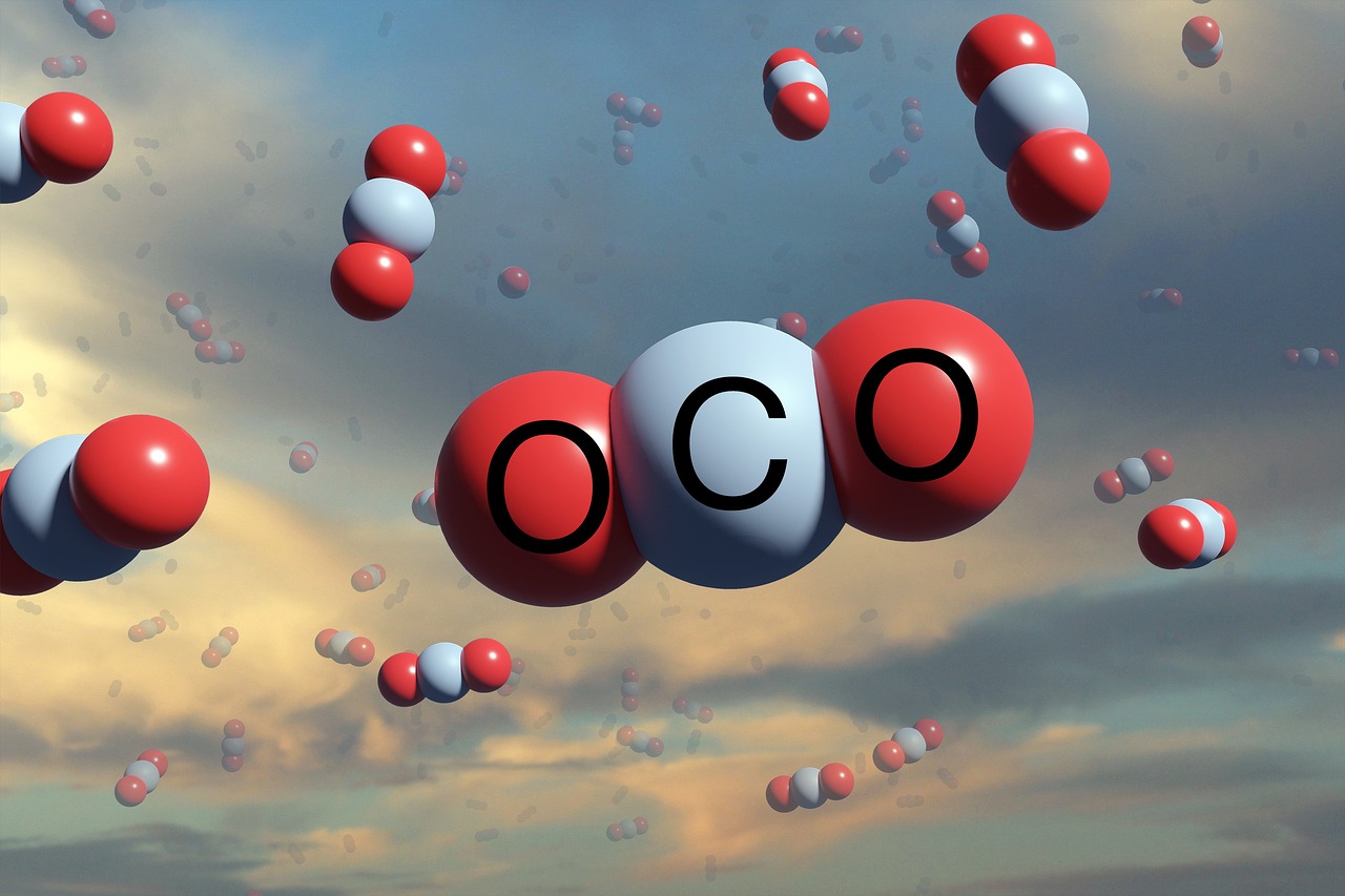 Descarbonizao agrcola: a nova fronteira de crescimento para a BASF no Brasil